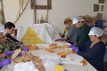 Día del Artesano y Labrador en Jinámar (Foto TA)